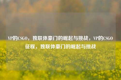 VP的CSGO，独联体豪门的崛起与挑战，VP的CSGO征程，独联体豪门的崛起与挑战