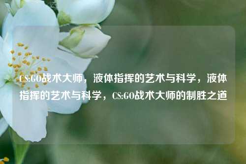 CS:GO战术大师,液体指挥的艺术与科学,液体指挥的艺术与科学,CS:GO战术大师的制胜之道