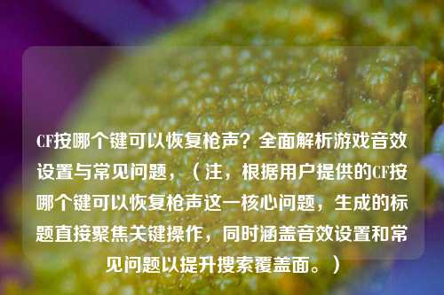 CF按哪个键可以恢复枪声？全面解析游戏音效设置与常见问题，（注，根据用户提供的CF按哪个键可以恢复枪声这一核心问题，生成的标题直接聚焦关键操作，同时涵盖音效设置和常见问题以提升搜索覆盖面。）