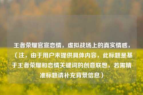 王者荣耀官宣恋情，虚拟战场上的真实情感，（注，由于用户未提供具体内容，此标题是基于王者荣耀和恋情关键词的创意联想，若需精准标题请补充背景信息）