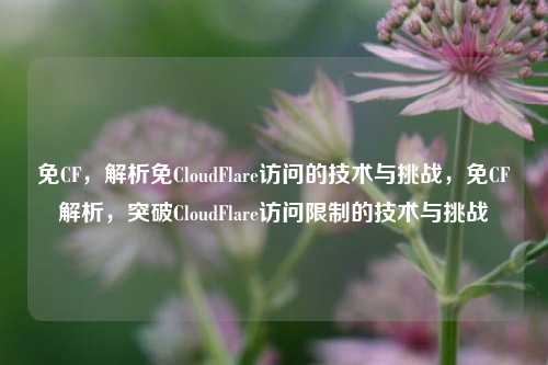 免CF，解析免CloudFlare访问的技术与挑战，免CF解析，突破CloudFlare访问限制的技术与挑战