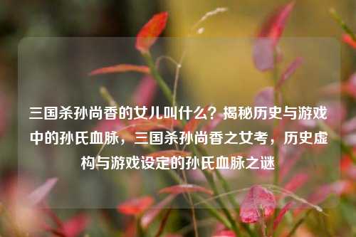 三国杀孙尚香的女儿叫什么？揭秘历史与游戏中的孙氏血脉，三国杀孙尚香之女考，历史虚构与游戏设定的孙氏血脉之谜