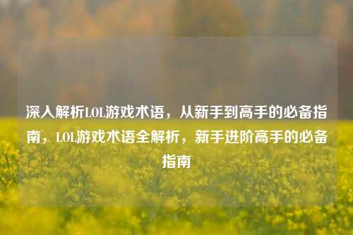 深入解析LOL游戏术语，从新手到高手的必备指南，LOL游戏术语全解析，新手进阶高手的必备指南