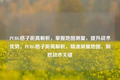 PUBG格子距离解析，掌握地图测量，提升战术优势，PUBG格子距离解析，精准测量地图，制胜战术关键