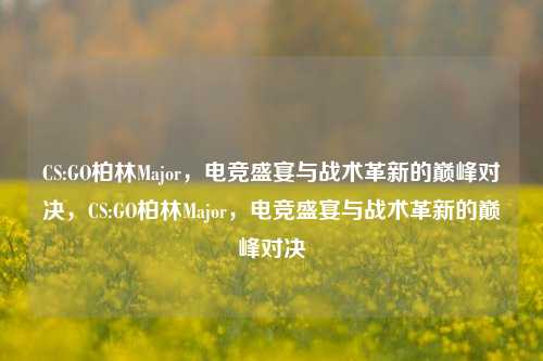 CS:GO柏林Major，电竞盛宴与战术革新的巅峰对决，CS:GO柏林Major，电竞盛宴与战术革新的巅峰对决