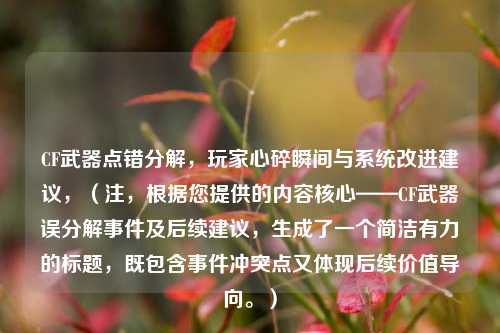 CF武器点错分解，玩家心碎瞬间与系统改进建议，（注，根据您提供的内容核心——CF武器误分解事件及后续建议，生成了一个简洁有力的标题，既包含事件冲突点又体现后续价值导向。）