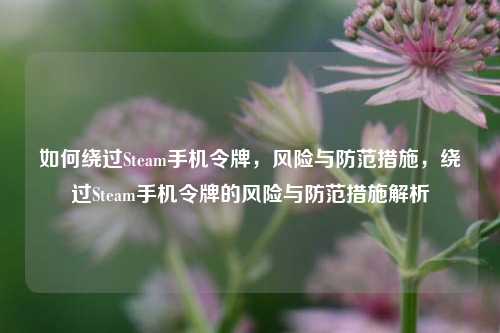 如何绕过Steam手机令牌，风险与防范措施，绕过Steam手机令牌的风险与防范措施解析