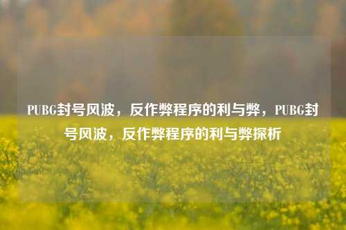 PUBG封号风波，反作弊程序的利与弊，PUBG封号风波，反作弊程序的利与弊探析
