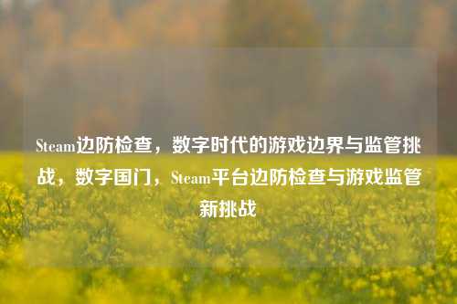 Steam边防检查，数字时代的游戏边界与监管挑战，数字国门，Steam平台边防检查与游戏监管新挑战