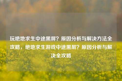玩绝地求生中途黑屏？原因分析与解决方法全攻略，绝地求生游戏中途黑屏？原因分析与解决全攻略