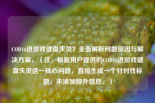 COD16进游戏键盘失灵？全面解析问题原因与解决方案，（注，根据用户提供的COD16进游戏键盘失灵这一核心问题，直接生成一个针对性标题，未添加额外信息。）