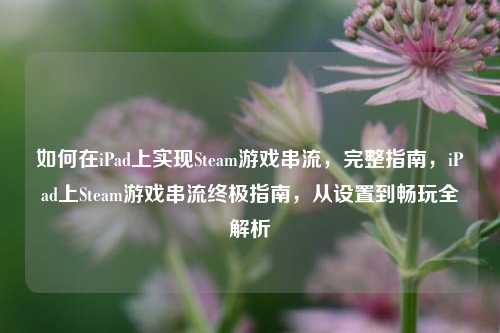 如何在iPad上实现Steam游戏串流，完整指南，iPad上Steam游戏串流终极指南，从设置到畅玩全解析