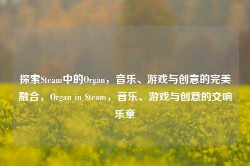 探索Steam中的Organ，音乐、游戏与创意的完美融合，Organ in Steam，音乐、游戏与创意的交响乐章