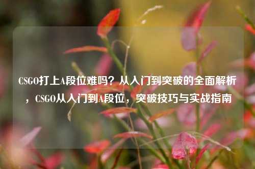 CSGO打上A段位难吗？从入门到突破的全面解析，CSGO从入门到A段位，突破技巧与实战指南