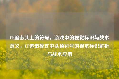 CF追击头上的符号，游戏中的视觉标识与战术意义，CF追击模式中头顶符号的视觉标识解析与战术应用