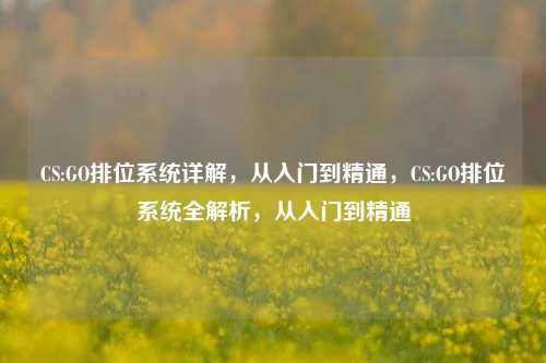 CS:GO排位系统详解，从入门到精通，CS:GO排位系统全解析，从入门到精通