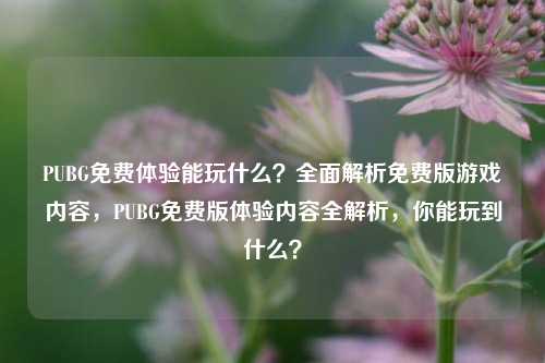 PUBG免费体验能玩什么？全面解析免费版游戏内容，PUBG免费版体验内容全解析，你能玩到什么？