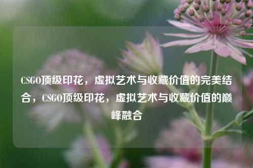 CSGO顶级印花，虚拟艺术与收藏价值的完美结合，CSGO顶级印花，虚拟艺术与收藏价值的巅峰融合