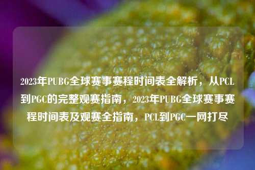 2023年PUBG全球赛事赛程时间表全解析，从PCL到PGC的完整观赛指南，2023年PUBG全球赛事赛程时间表及观赛全指南，PCL到PGC一网打尽