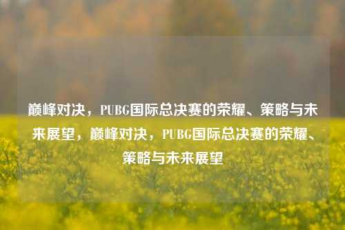 巅峰对决，PUBG国际总决赛的荣耀、策略与未来展望，巅峰对决，PUBG国际总决赛的荣耀、策略与未来展望