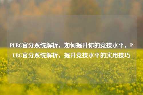 PUBG官分系统解析，如何提升你的竞技水平，PUBG官分系统解析，提升竞技水平的实用技巧