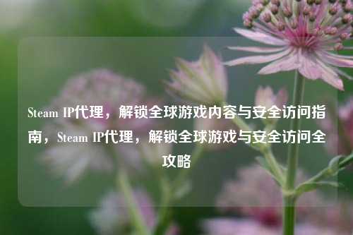 Steam IP代理，解锁全球游戏内容与安全访问指南，Steam IP代理，解锁全球游戏与安全访问全攻略