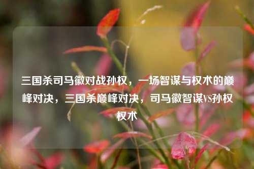 三国杀司马徽对战孙权，一场智谋与权术的巅峰对决，三国杀巅峰对决，司马徽智谋VS孙权权术