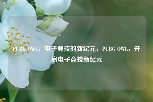 PUBG OWL，电子竞技的新纪元，PUBG OWL，开启电子竞技新纪元