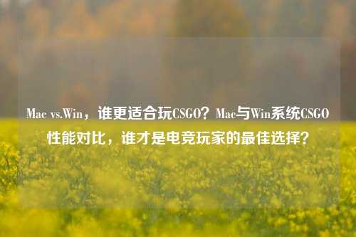 Mac vs.Win，谁更适合玩CSGO？Mac与Win系统CSGO性能对比，谁才是电竞玩家的最佳选择？