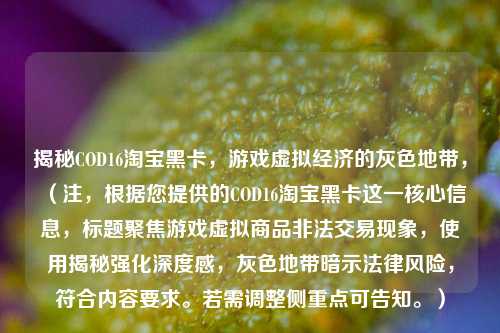 揭秘COD16淘宝黑卡,游戏虚拟经济的灰色地带,(注,根据您提供的COD16淘宝黑卡这一核心信息,标题聚焦游戏虚拟商品非法交易现象,使用揭秘强化深度感,灰色地带暗示法律风险,符合内容要求。若需调整侧重点可告知。)