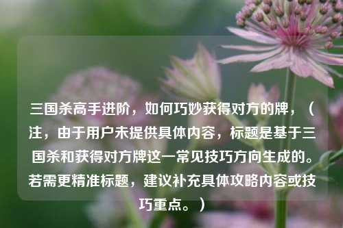 三国杀高手进阶，如何巧妙获得对方的牌，（注，由于用户未提供具体内容，标题是基于三国杀和获得对方牌这一常见技巧方向生成的。若需更精准标题，建议补充具体攻略内容或技巧重点。）