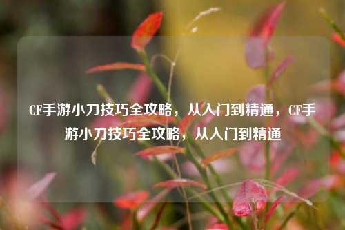 CF手游小刀技巧全攻略，从入门到精通，CF手游小刀技巧全攻略，从入门到精通