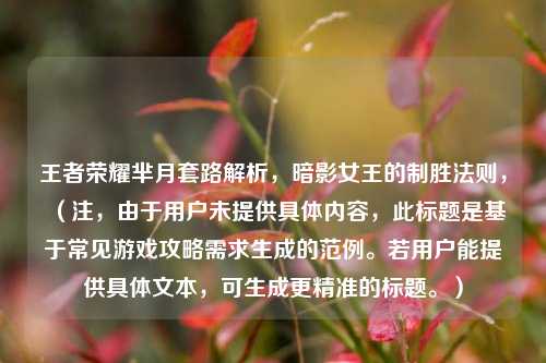 王者荣耀芈月套路解析，暗影女王的制胜法则，（注，由于用户未提供具体内容，此标题是基于常见游戏攻略需求生成的范例。若用户能提供具体文本，可生成更精准的标题。）