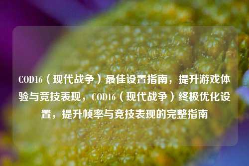COD16（现代战争）最佳设置指南，提升游戏体验与竞技表现，COD16（现代战争）终极优化设置，提升帧率与竞技表现的完整指南