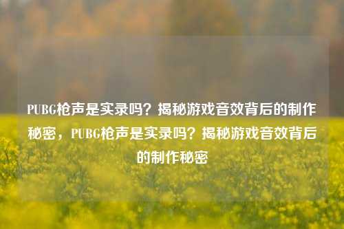 PUBG枪声是实录吗？揭秘游戏音效背后的制作秘密，PUBG枪声是实录吗？揭秘游戏音效背后的制作秘密