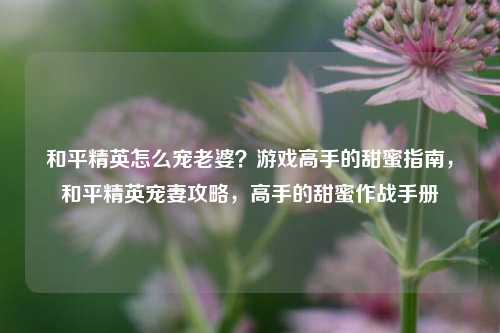 和平精英怎么宠老婆？游戏高手的甜蜜指南，和平精英宠妻攻略，高手的甜蜜作战手册