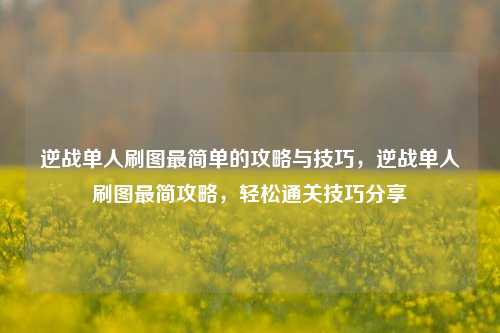逆战单人刷图最简单的攻略与技巧，逆战单人刷图最简攻略，轻松通关技巧分享