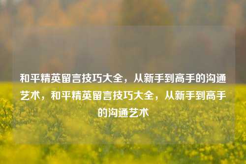 和平精英留言技巧大全，从新手到高手的沟通艺术，和平精英留言技巧大全，从新手到高手的沟通艺术