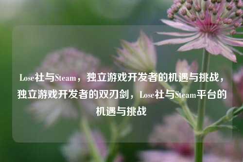 Lose社与Steam，独立游戏开发者的机遇与挑战，独立游戏开发者的双刃剑，Lose社与Steam平台的机遇与挑战
