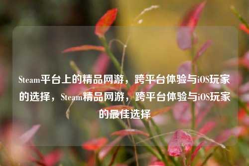 Steam平台上的精品网游，跨平台体验与iOS玩家的选择，Steam精品网游，跨平台体验与iOS玩家的最佳选择