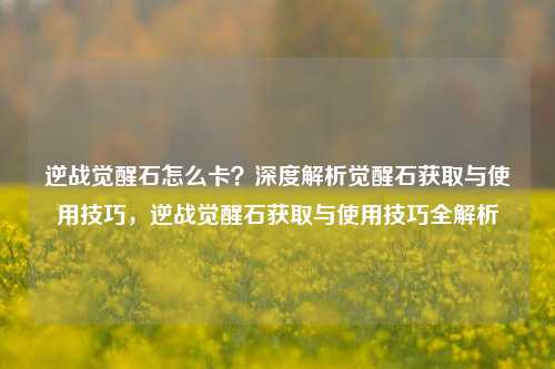逆战觉醒石怎么卡？深度解析觉醒石获取与使用技巧，逆战觉醒石获取与使用技巧全解析