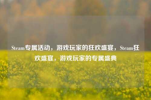 Steam专属活动，游戏玩家的狂欢盛宴，Steam狂欢盛宴，游戏玩家的专属盛典