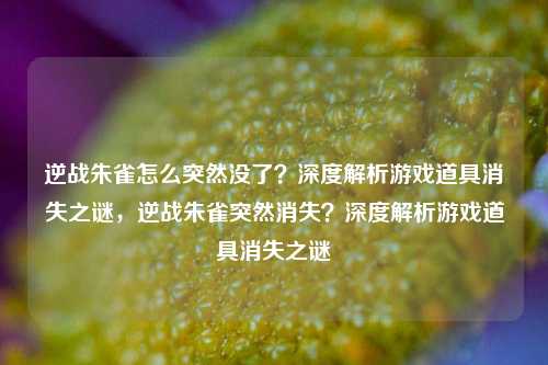 逆战朱雀怎么突然没了？深度解析游戏道具消失之谜，逆战朱雀突然消失？深度解析游戏道具消失之谜