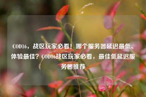 COD16，战区玩家必看！哪个服务器延迟最低、体验最佳？COD16战区玩家必看，最佳低延迟服务器推荐