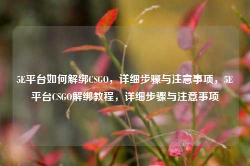 5E平台如何解绑CSGO，详细步骤与注意事项，5E平台CSGO解绑教程，详细步骤与注意事项