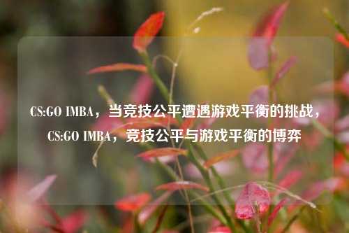CS:GO IMBA，当竞技公平遭遇游戏平衡的挑战，CS:GO IMBA，竞技公平与游戏平衡的博弈