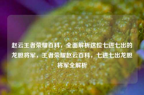 赵云王者荣耀百科，全面解析这位七进七出的龙胆将军，王者荣耀赵云百科，七进七出龙胆将军全解析