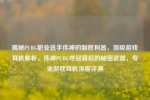 揭秘PUBG职业选手伟神的制胜利器，顶级游戏耳机解析，伟神PUBG夺冠背后的秘密武器，专业游戏耳机深度评测