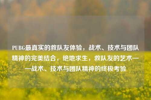 PUBG最真实的救队友体验，战术、技术与团队精神的完美结合，绝地求生，救队友的艺术——战术、技术与团队精神的终极考验