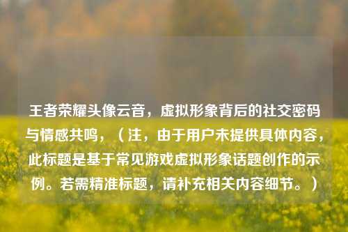 王者荣耀头像云音，虚拟形象背后的社交密码与情感共鸣，（注，由于用户未提供具体内容，此标题是基于常见游戏虚拟形象话题创作的示例。若需精准标题，请补充相关内容细节。）